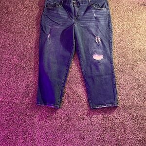 Women’s Terra & Sky Distressed Capri Jeans - Blue, Size 22